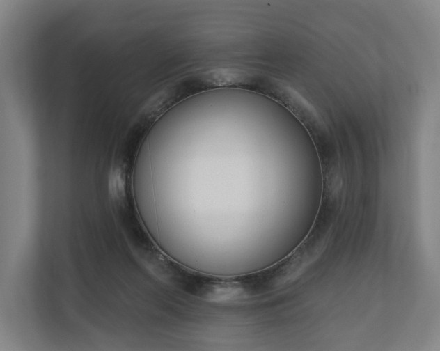 X0000110740214200906221035