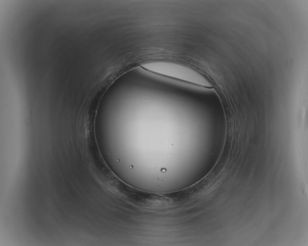 X0000110740215200906221035