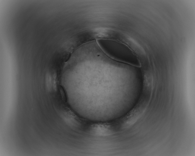 X0000110740223200906221035