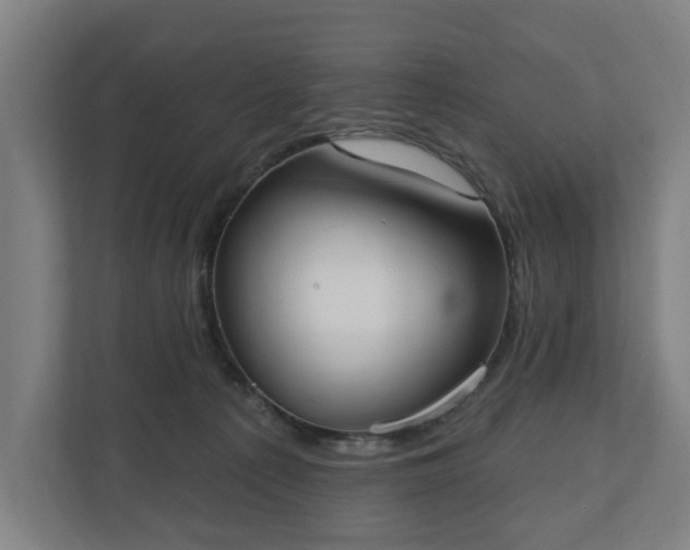 X0000110740225200906221035