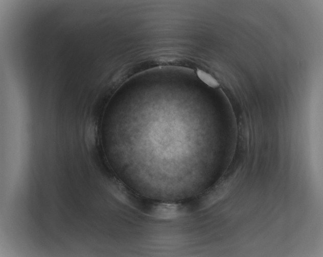 X0000110740227200906221035