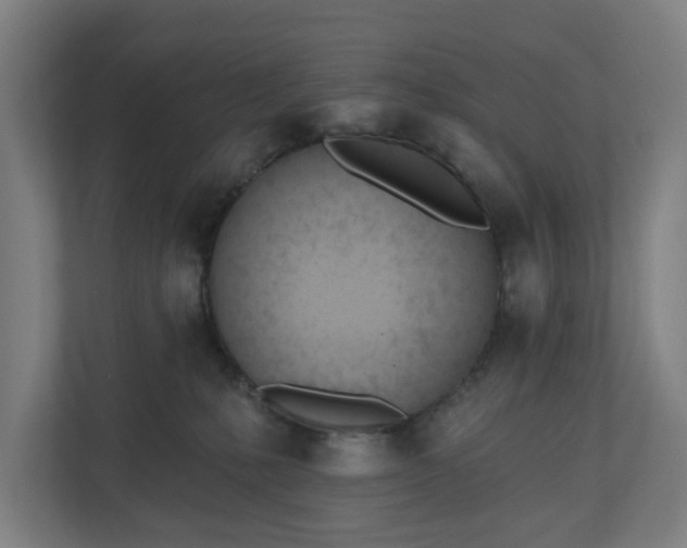 X0000110740231200906221035