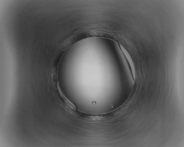 X0000110740233200906221035