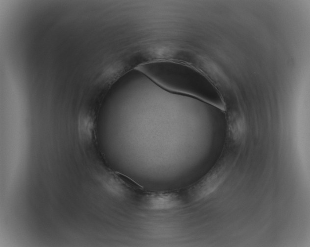 X0000110740235200906221035