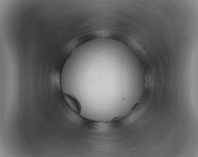 X0000110740238200906221035