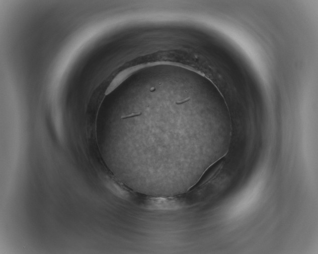 X0000110740239200906221035