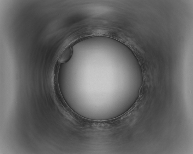 X0000110740242200906221034