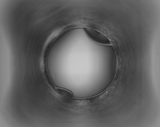 X0000110740245200906221034