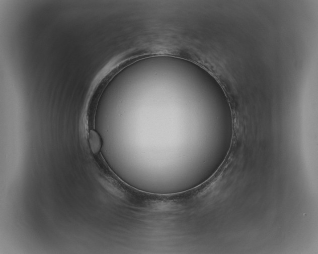 X0000110740246200906221034
