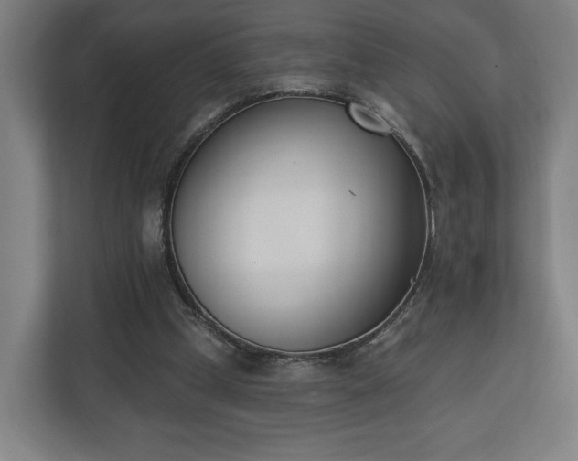X0000110740249200906221034