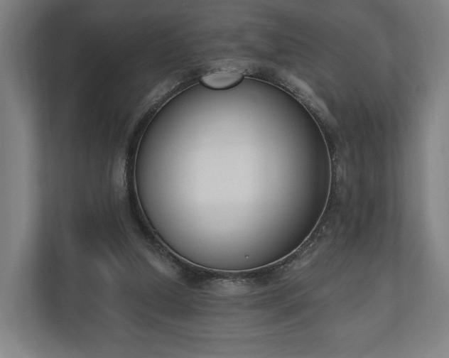 X0000110740250200906221034