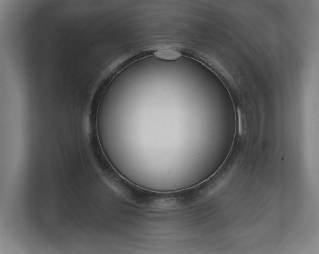 X0000110740252200906221034