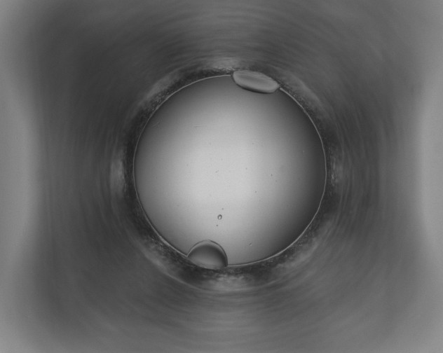 X0000110740256200906221034