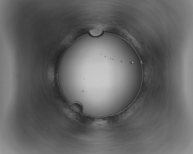 X0000110740257200906221034
