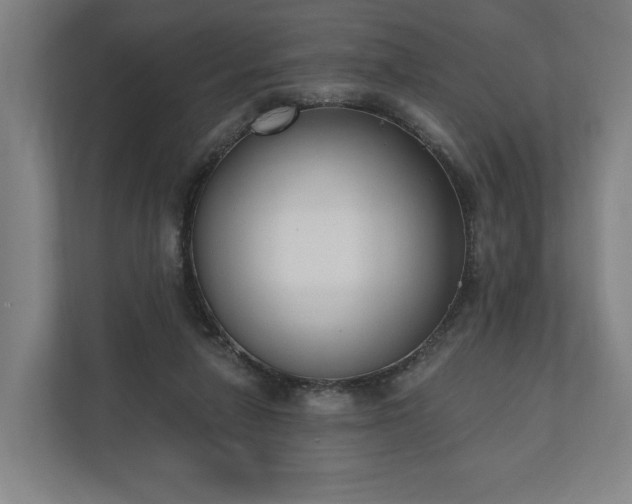 X0000110740258200906221034