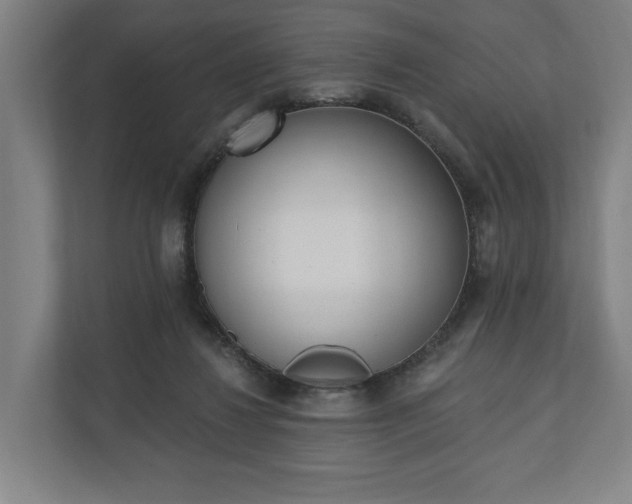 X0000110740260200906221034