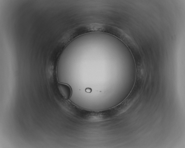 X0000110740263200906221034