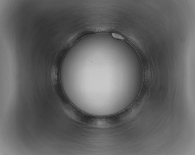 X0000110740264200906221034