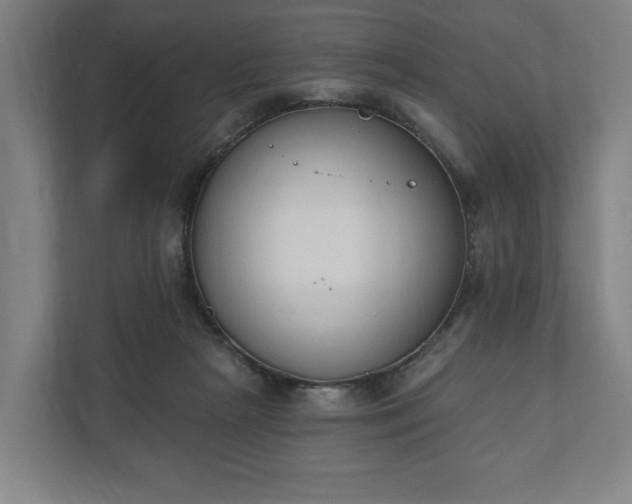 X0000110740265200906221034