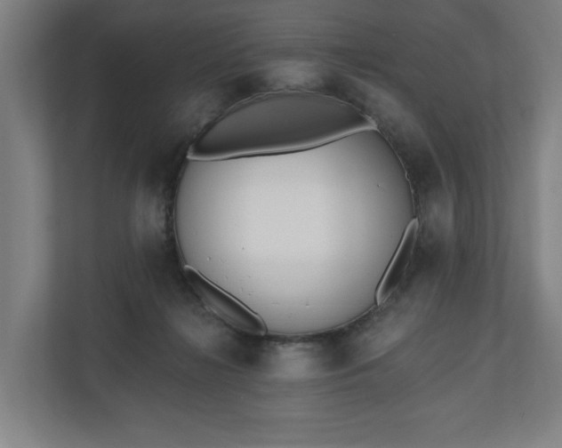 X0000110740268200906221034