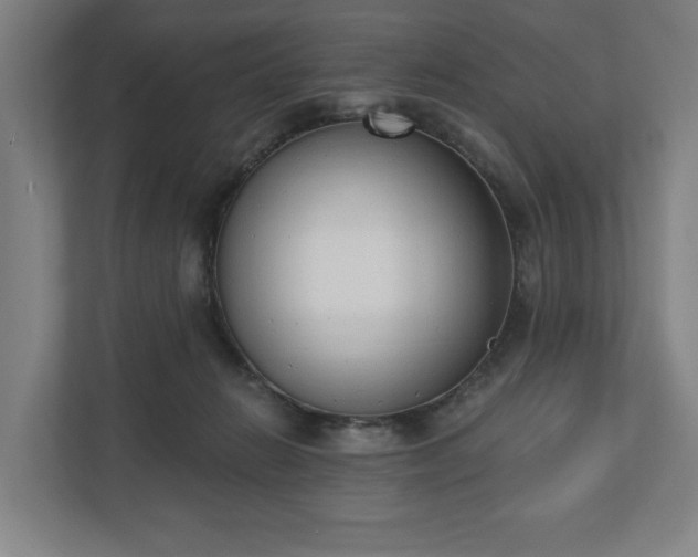 X0000110740270200906221034