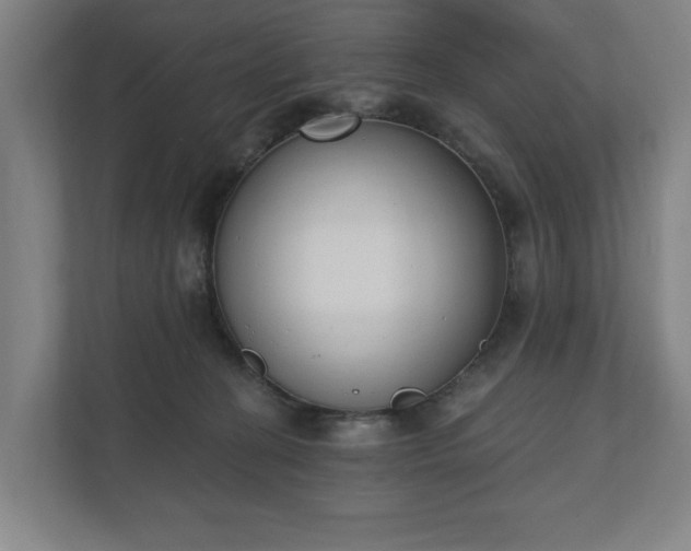 X0000110740274200906221034