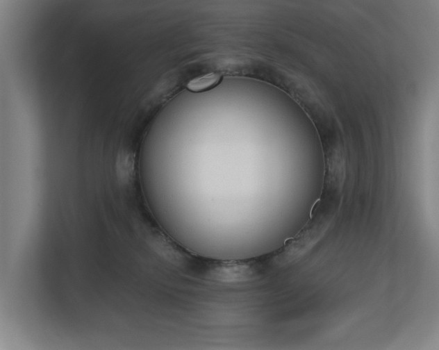 X0000110740278200906221035