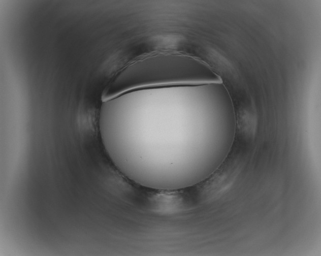 X0000110740280200906221035
