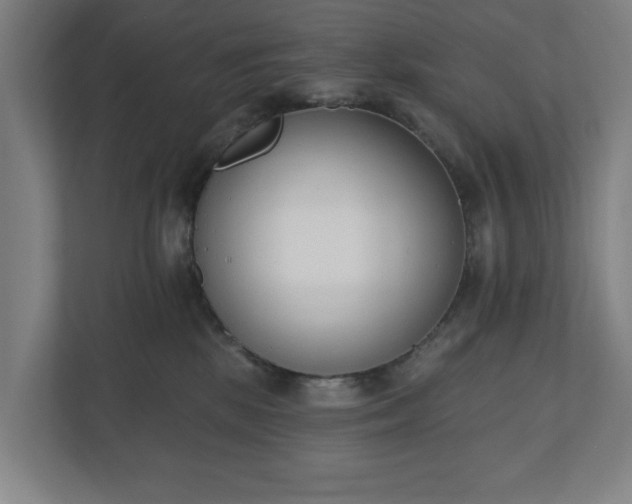 X0000110740281200906221035