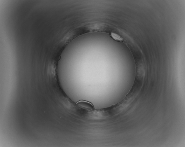 X0000110740282200906221035