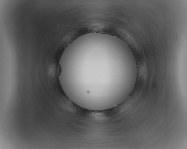 X0000110740283200906221035