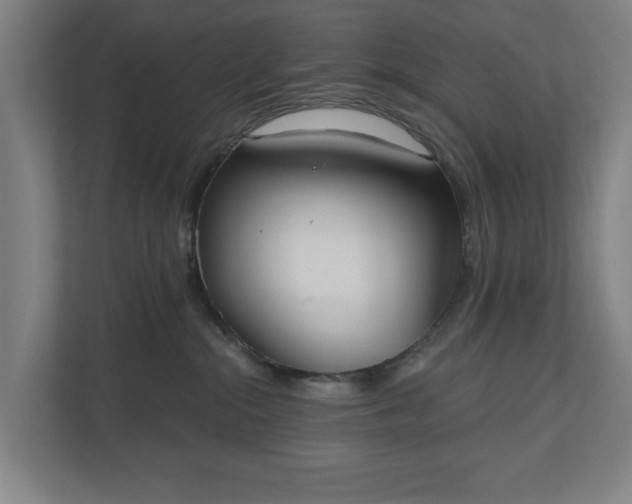 X0000110740284200906221035