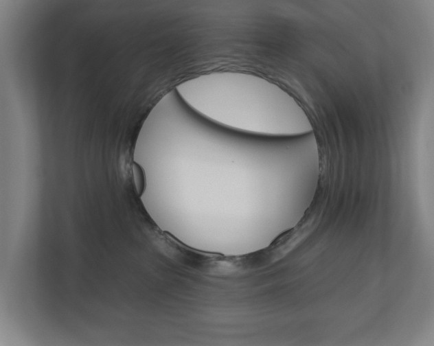 X0000110740285200906221035