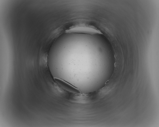 X0000110740288200906221035