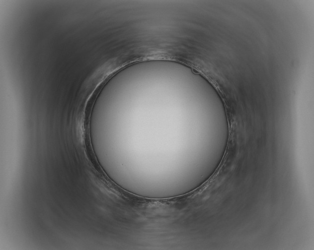 X0000110740290200906221034
