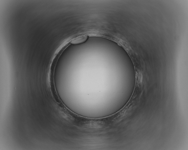 X0000110740292200906221034