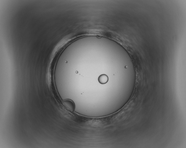 X0000110740294200906221034