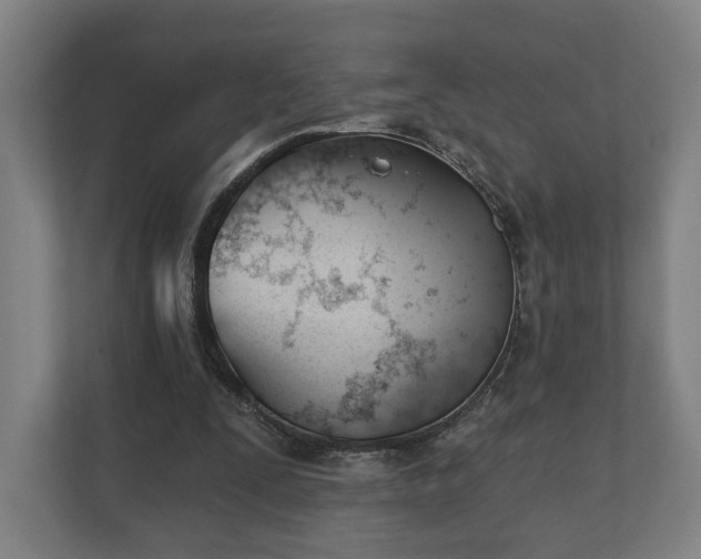 X0000110740295200906221034