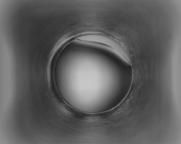 X0000110740296200906221034