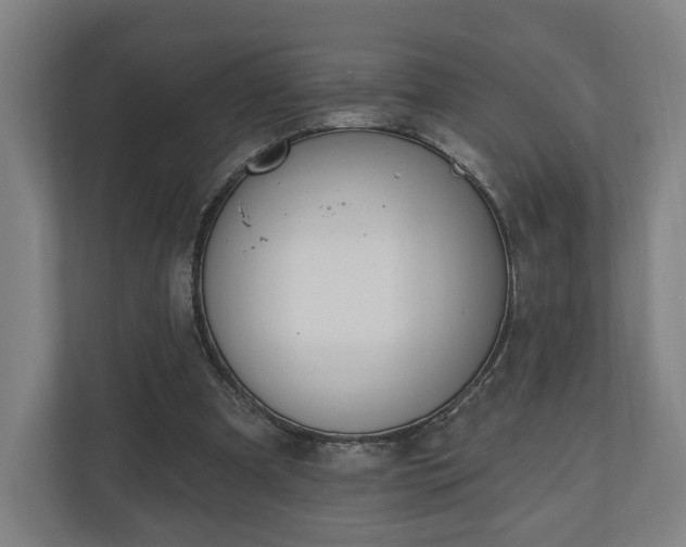 X0000110740297200906221034