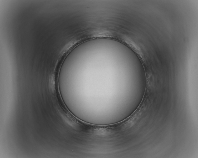 X0000110740298200906221034