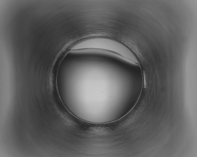 X0000110740300200906221034