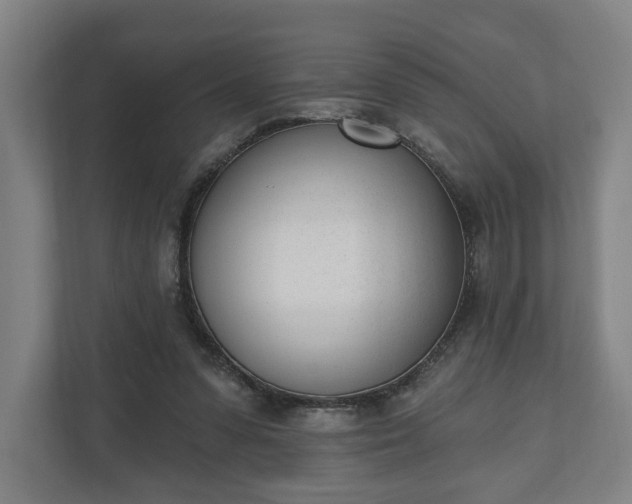 X0000110740303200906221034