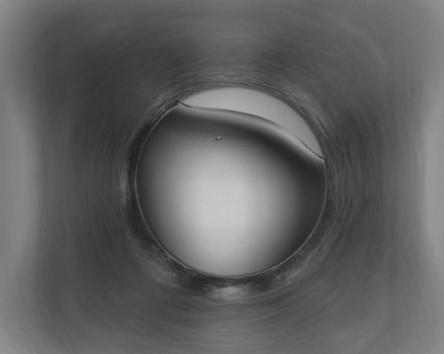 X0000110740312200906221034