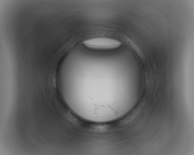 X0000110740313200906221034