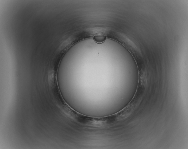 X0000110740314200906221034