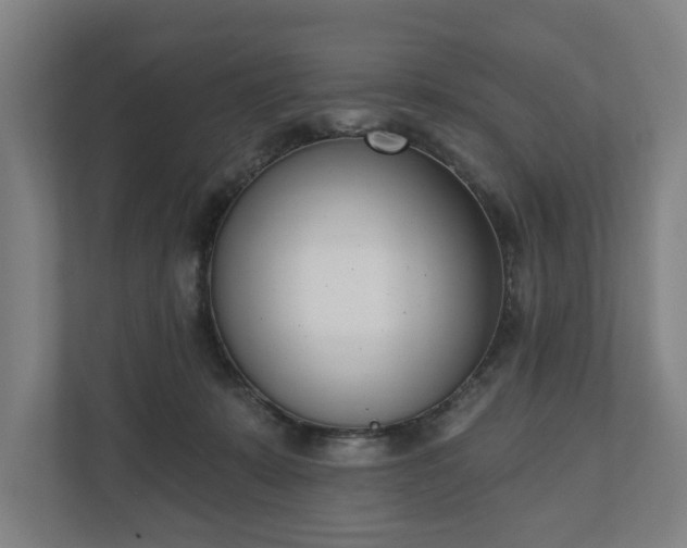 X0000110740319200906221034