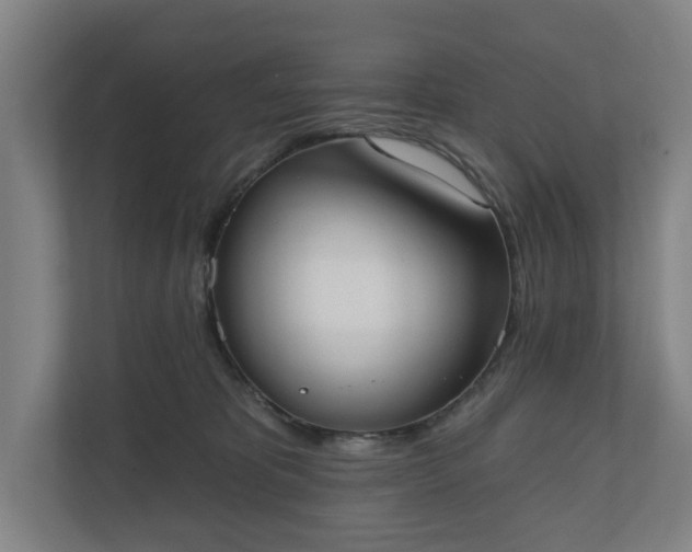 X0000110740325200906221034
