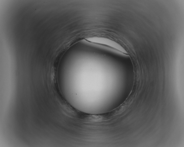 X0000110740328200906221034