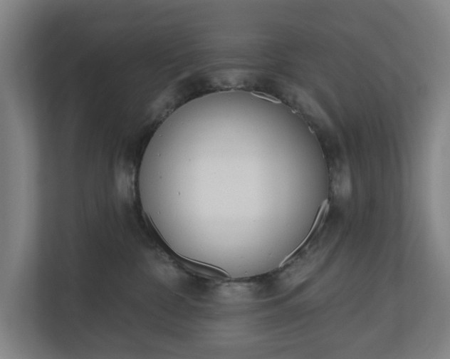 X0000110740332200906221033